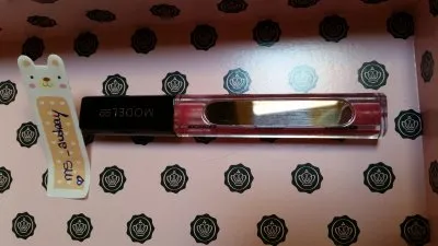 Gloss, ModelCo