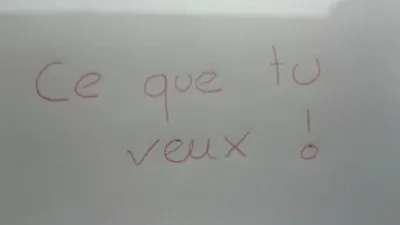 ce que tu veux, Yves Saint Laurent