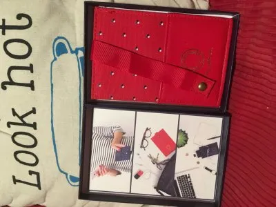 Pochette portable, Inès de la Fressange