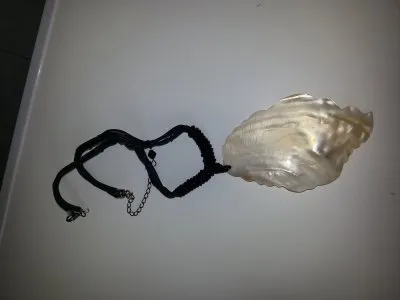 Collier, Inconnue